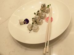 -丁老爷子苏香圆