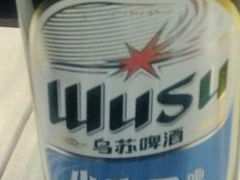 小麦白啤-柴窝堡辣子鸡(文艺路店)