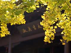 -钱王祠