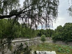 -开福禅寺