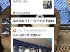 -成都民大动物医院
