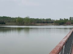 -东郊湿地公园
