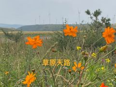 -草原天路(张北县)