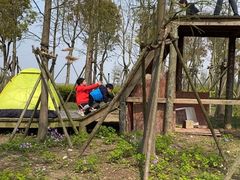 -春花秋色城市公园