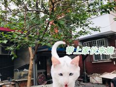 -一片田陶艺工作室