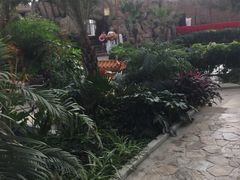 -郑州银基黄帝宫御温泉