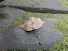 -保利石象湖景区