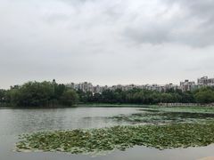 -新江湾城公园