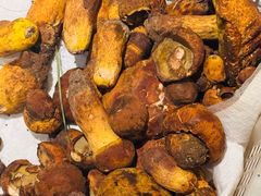 -滇野云南野生菌餐厅(陕西南路店)