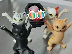 -博特宠物医院24h犬猫全科.骨科·异宠