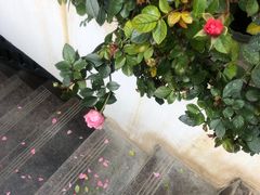 -边渡咖啡烘焙店(昙华林店)