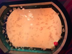 -沈阳海洋探索中心