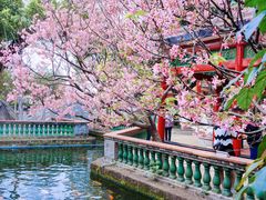 -宝墨园景区