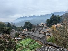 -杨家堂村