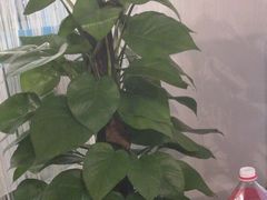 -上机堂网咖永源店