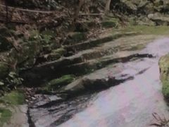 -藏龙百瀑风景区