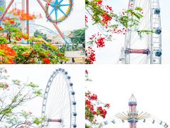 -顺德欢乐海岸PLUS