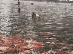 -水磨沟公园