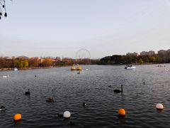 -上海野生动物园老虎餐厅