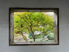 -秋霞圃