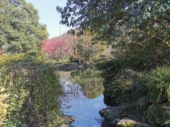 -中国茶叶博物馆(双峰馆区)