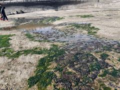 -日照灯塔风景区