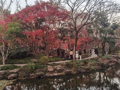 -秋霞圃