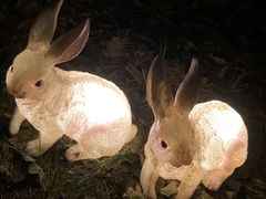 -昆山城市生态森林公园