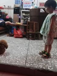 -贝乐鸥主题乐园(锦城万达广场店)