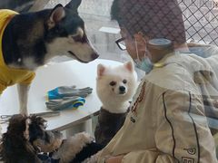 -怪兽屋·羊驼·猫咖·狗咖(俊华广场店)