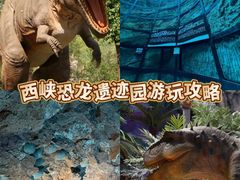 -中国西峡恐龙遗迹园