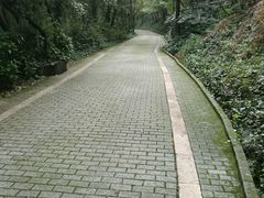 -宝岩生态观光园