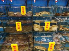 -渔中舟海鲜大排档(普陀沈家门店)
