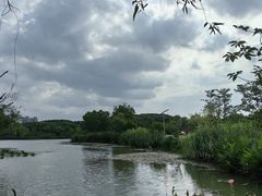 -昆山城市生态森林公园