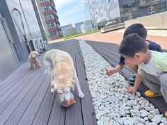 -百好乐宠物友好餐厅(朝外大街店)