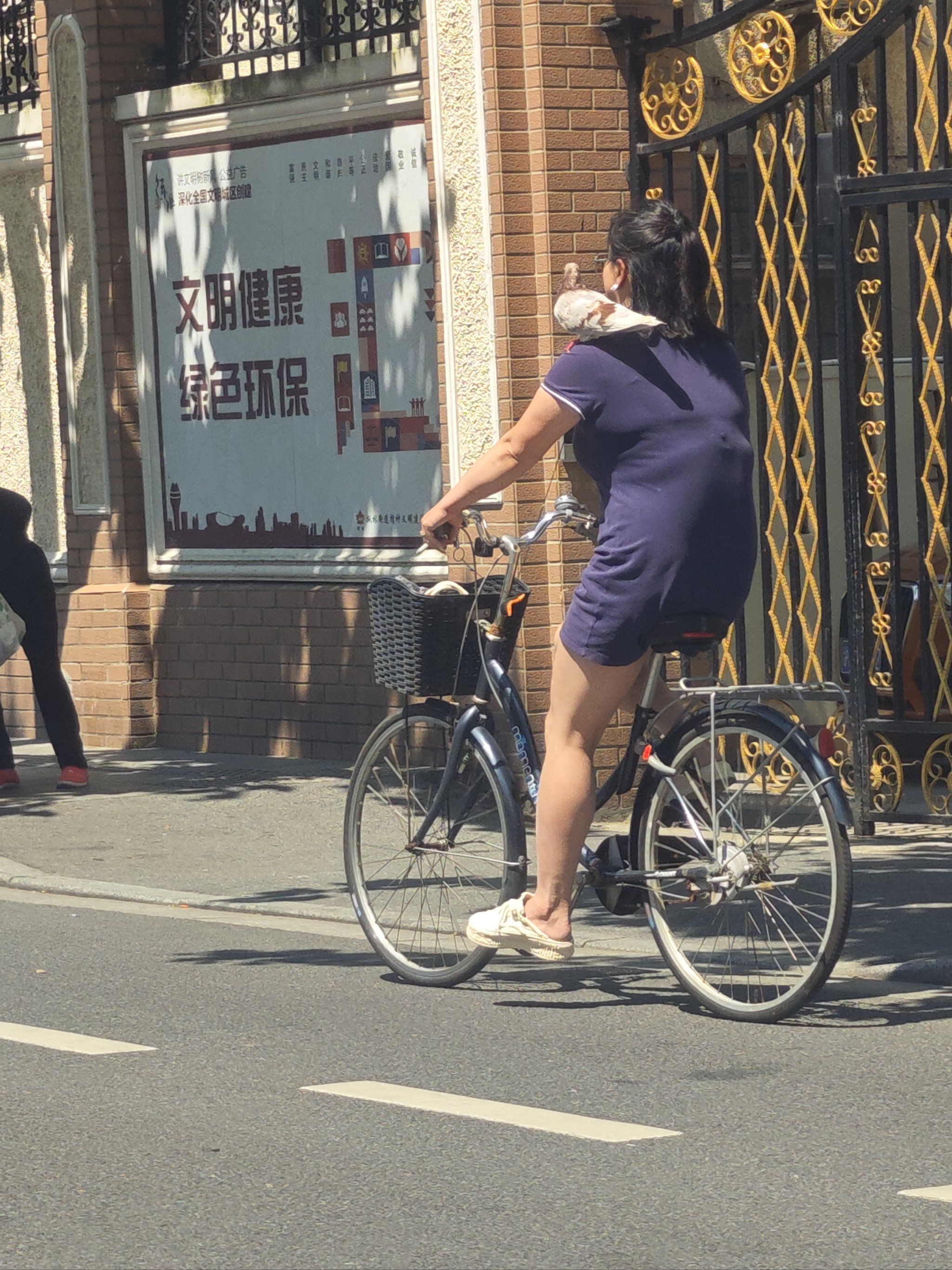 不愧是魔都!居然有人骑车遛鸟!