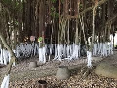 -胡里山炮台