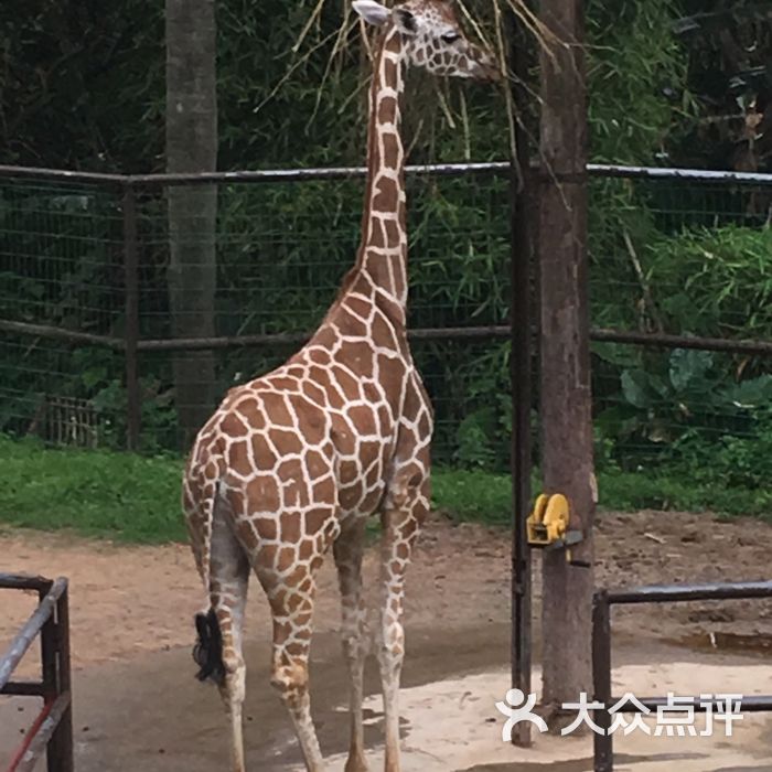 福州動物園