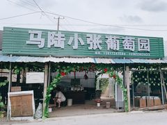 -马陆小张葡萄园农家乐