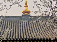-护国法轮寺