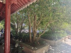 -普陀山慧济禅寺