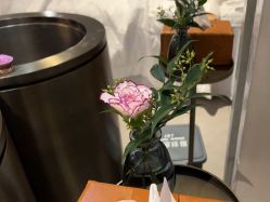 -宸山医美·变美艺术馆