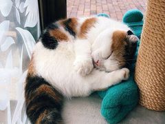 -东方好莱坞(文化路店)