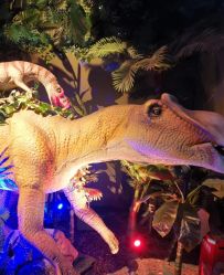 -恐龙探索乐园(磁器口店)