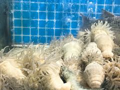 -杨记海鲜楼(三门黑金冠店)