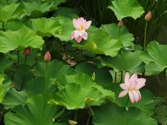 -苏州香山国际大酒店