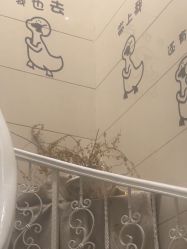 -觅境SPA·私享空间