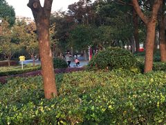 -南翔镇银翔湖公园