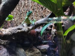 -酷嗒动物文化乐园(cutezoo西溪乐天城店)