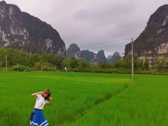-明仕田园